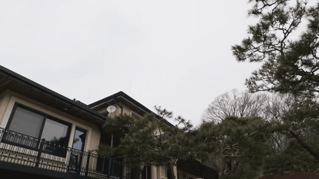 House and pine trees under a cloudy sky