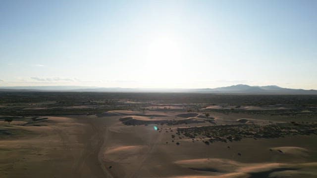 Expansive desert landscape under bright sun