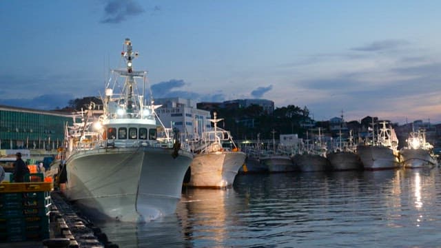 Fishing boats docked in marina