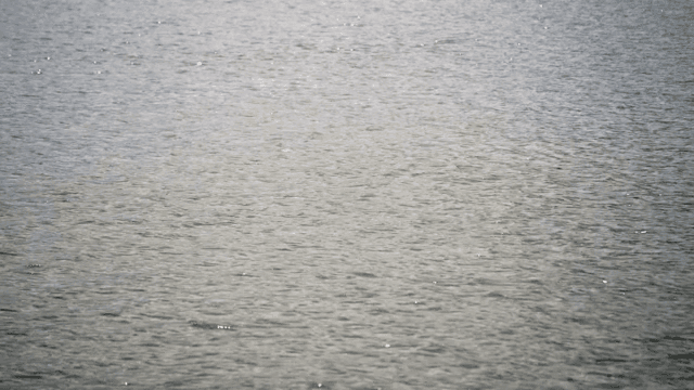 잔잔한 물결이 이는 고요한 수면
