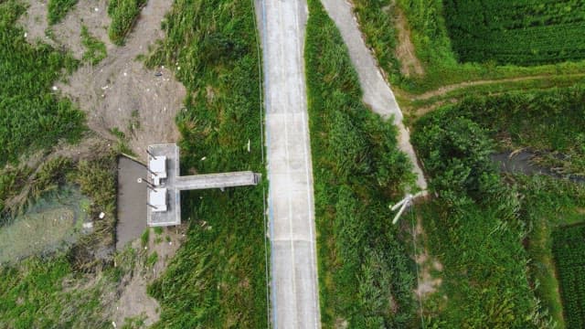 시골 도로와 녹지의 전경