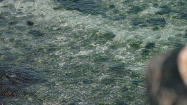 바다 옆에 있는 나무 바구니 안의 싱싱한 조기