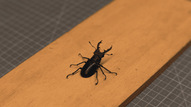 나무 표면 위의 사슴벌레