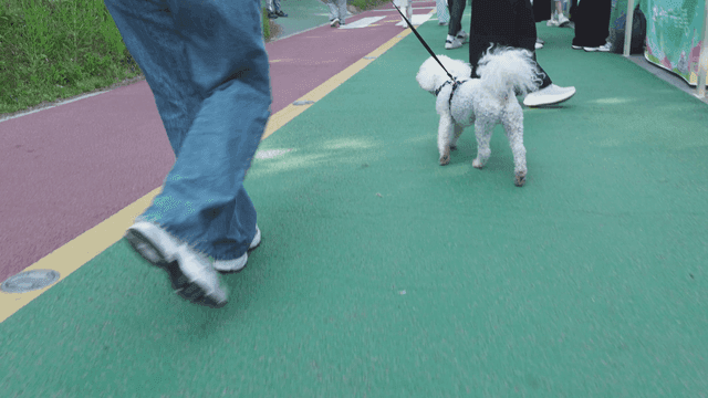 강아지와 산책하는 공원 산책로