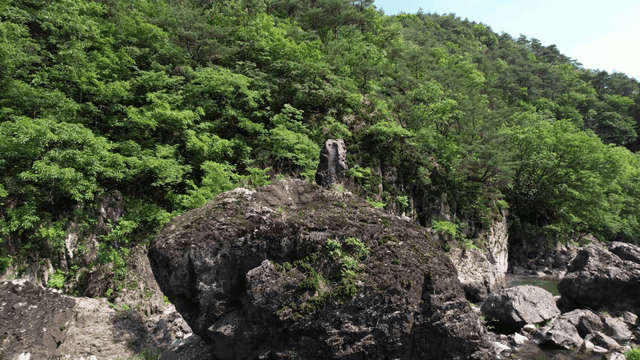 계곡과 푸른 숲으로 둘러싸인 바위