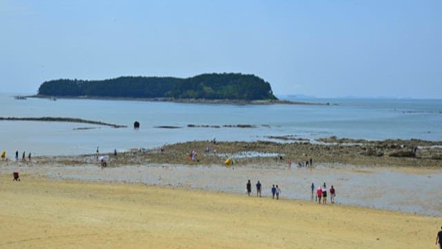 Coastal Tidal Flats Teeming with People