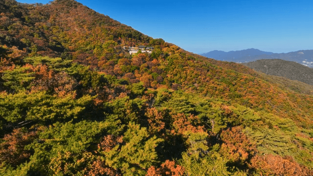 가을 단풍이 든 산의 경치