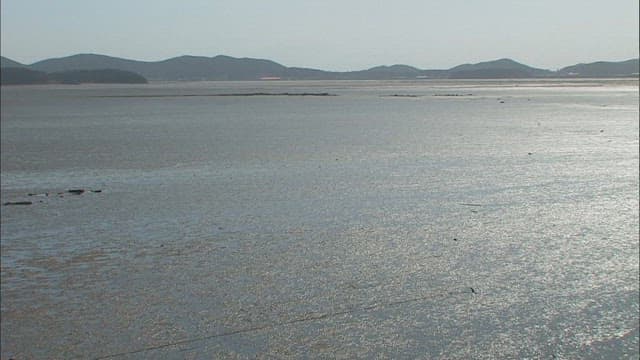 Serene Mudflats Landscape with a Lone Boat