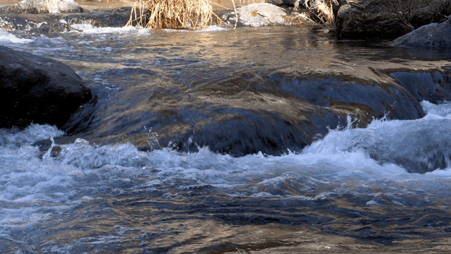 바위와 마른 식물이 있는 흐르는 강