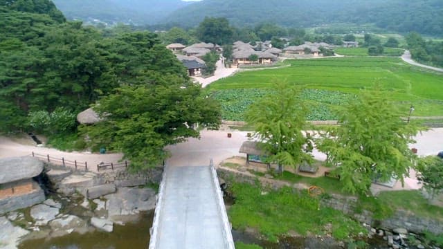 연잎이 있는 녹색 들판이 있는 전통 마을