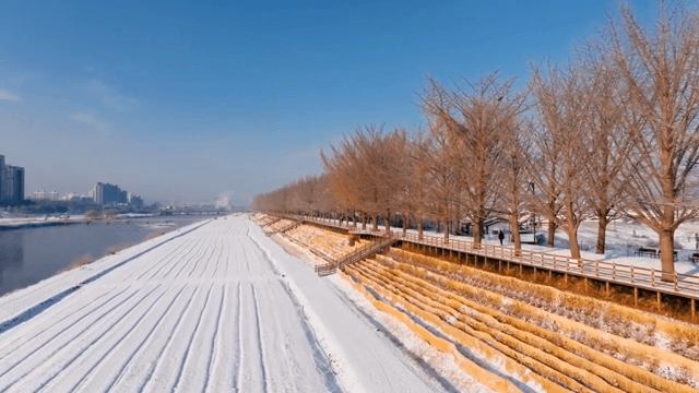 Snow-covered riverside with bare trees