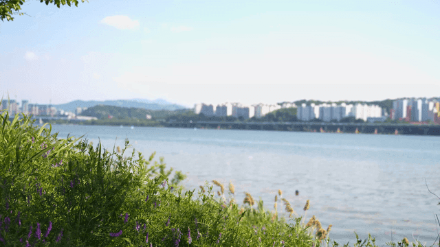 Wide river with city in background