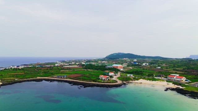 Coastal town with green fields and houses beside the sea