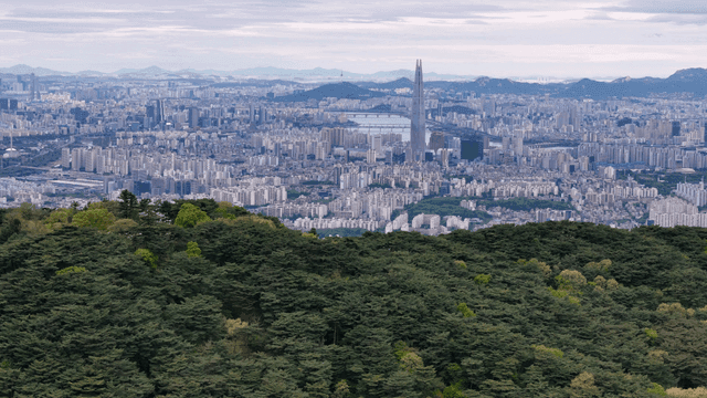 Vast cityscape set against forest backdrop