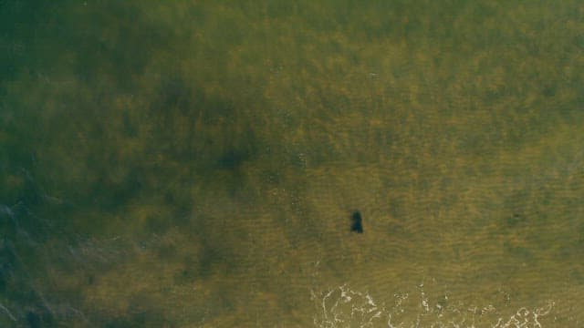 파도 치는 해변에 서 있는 한 사람