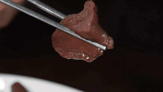 Piece of beef liver mushroom dipped in oil sauce and eaten with chopsticks