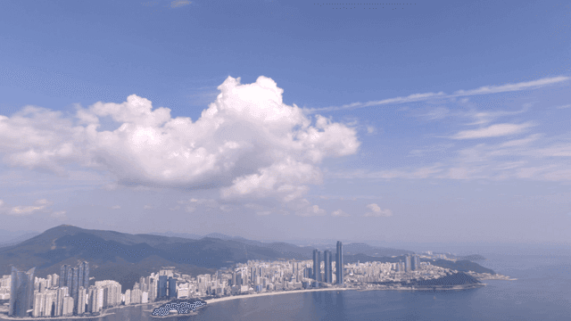 Coastal city with tall buildings and a bridge
