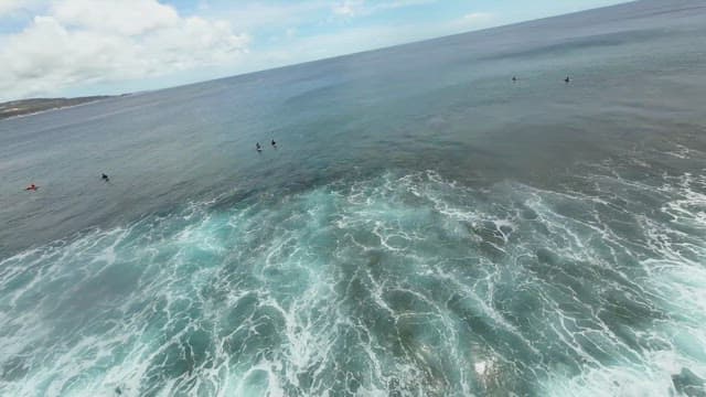 아름다운 해변에서 여유롭게 시간을 보내는 사람들