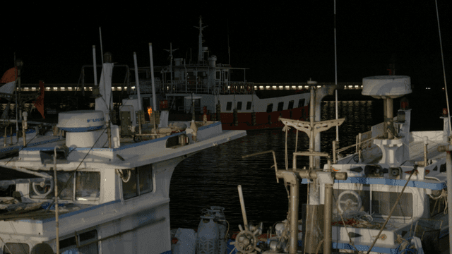 Boats docked at night in a harbor