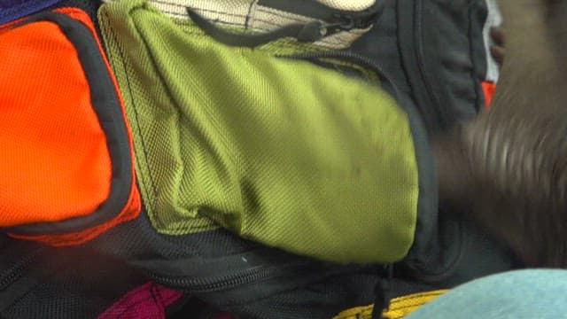 알록달록한 가방을 뒤지는 수달들