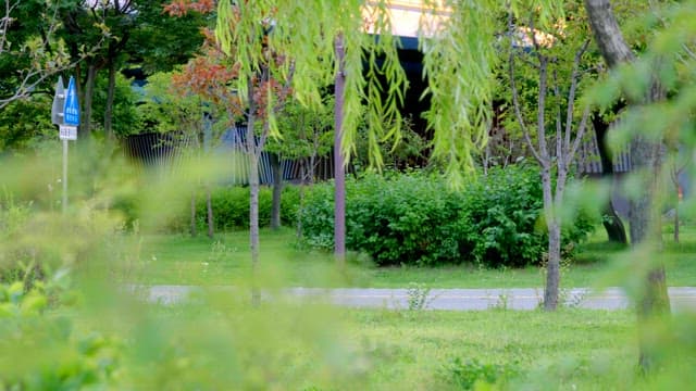 자전거 타는 사람들이 있는 푸른 공원