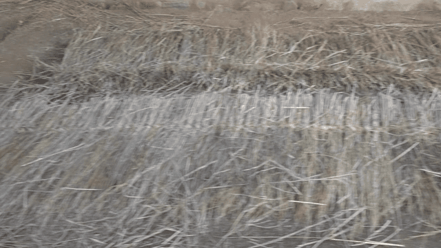 땅에 놓인 짚 다발