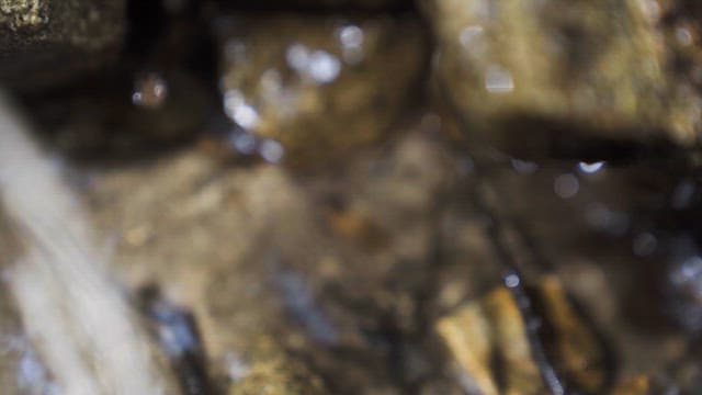 숲속 바위 틈에서 흐르는 물