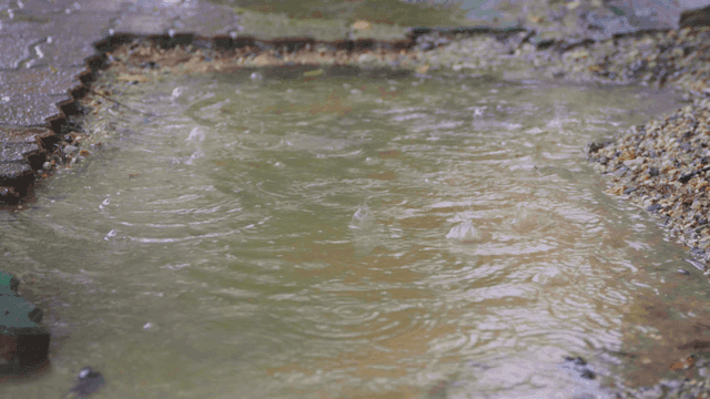 보도 블럭 옆 빗방울이 웅덩이에 내려 생기는 물결