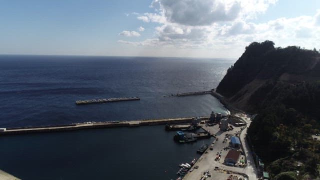 Seaside Dock with Boats and Surrounding Nature