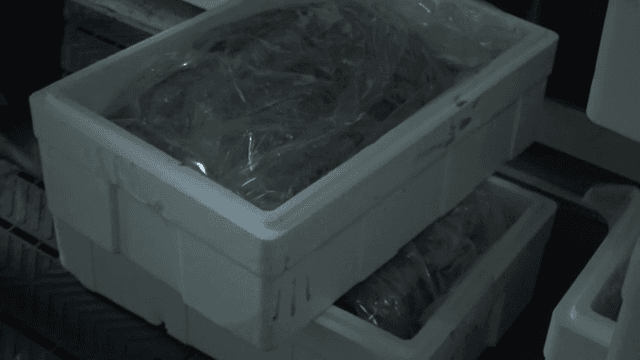 실내에서 플라스틱 용기 쌓기