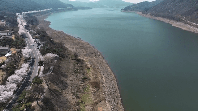 벚꽃이 핀 호수의 경치