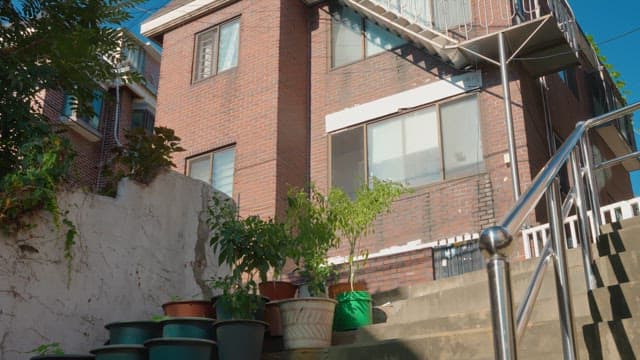 햇살이 비치는 계단을 내려오는 커플