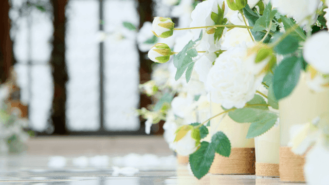 밝은 실내에 있는 흰 장미