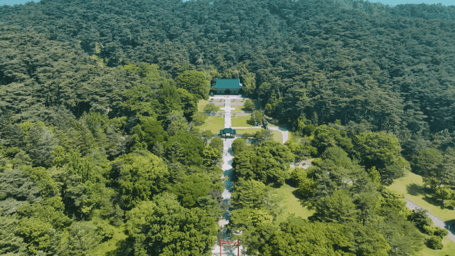 Traditional Hanok surrounded by lush forest