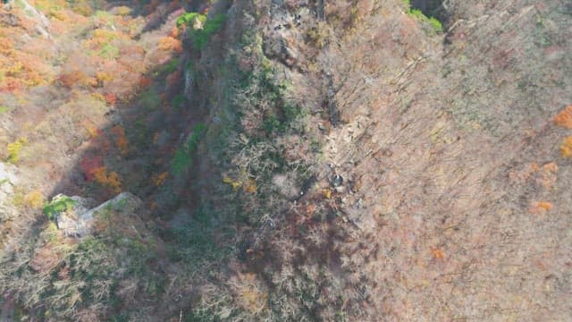 다채로운 가을 산 풍경