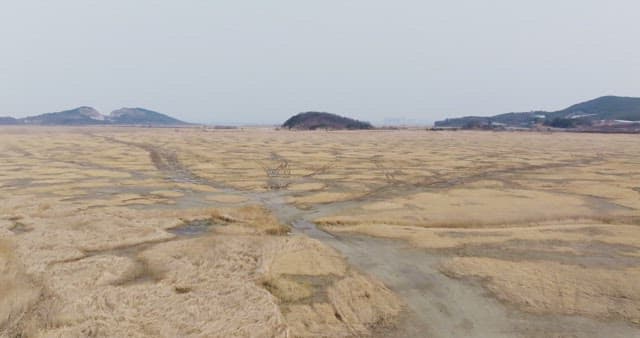 멀리 언덕이 보이는 넓은 들판