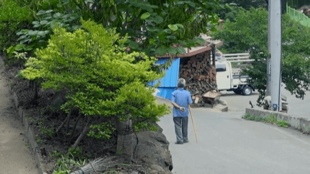 시골길을 걷는 노인