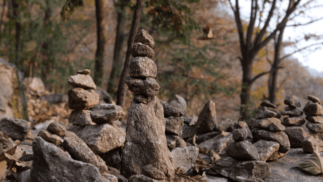 고요한 숲 속의 쌓인 돌들