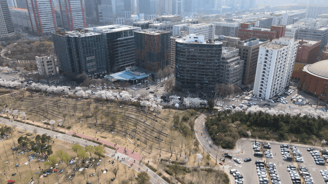 Park with view of downtown high-rise buildings and cherry blossoms