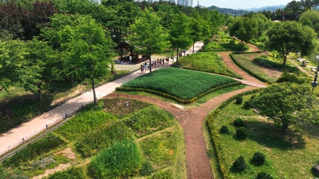 Group of people walking in a lush park
