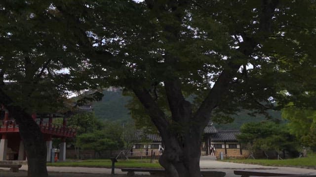 한적한 한국 전통 마을 풍경