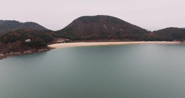 Serene Coastal Landscape with Forest and Sea