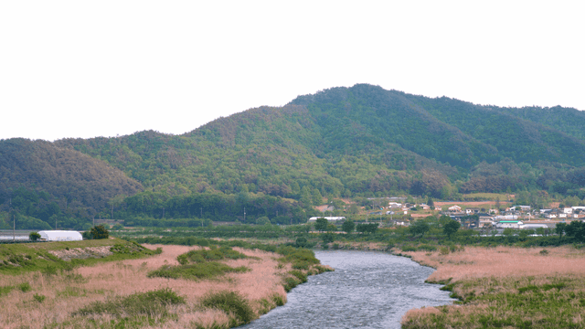 계곡을 흐르는 평화로운 강 배경의 산
