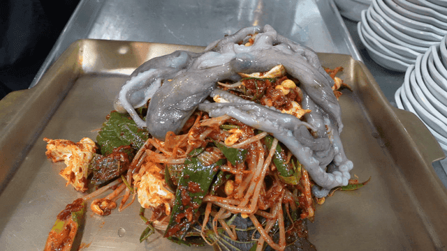 Live octopus on top of spicy seasoned bean sprouts