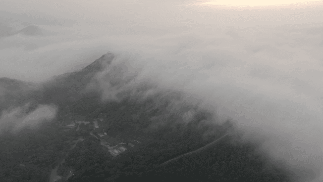안개 낀 산과 고요한 새벽