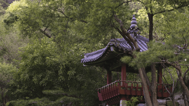 Traditional Korean pavilion surrounded by lush greenery