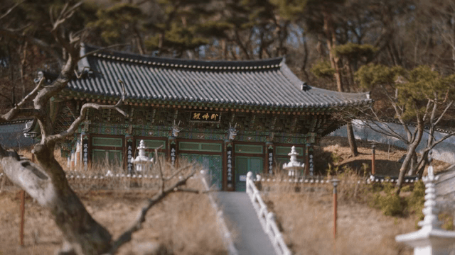 Traditional Korean temple in a forest