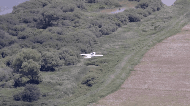 경치 좋은 공원 위를 나는 작은 비행기