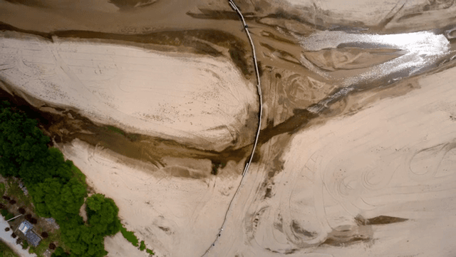나무가 있는 모래 강바닥의 항공 뷰
