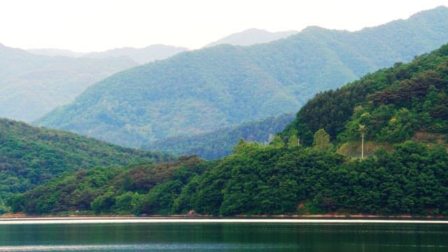 Calm lake surrounded by dense green forest and mountains